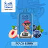 REndM Digital Box 25000 Puffs Wegwerp Vape (Doos van 10)