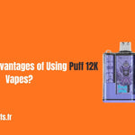Wat Zijn de Voordelen Van Het Gebruik van Puff 12K Vapes?