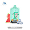 RAndM Digital Box 12000 Puffs (Box of 10) - Watermelon Ice