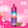 JNR Alien 10000 Puffs (Box of 10) - Peach Ice